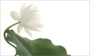 Cuộc sống hạnh phúc